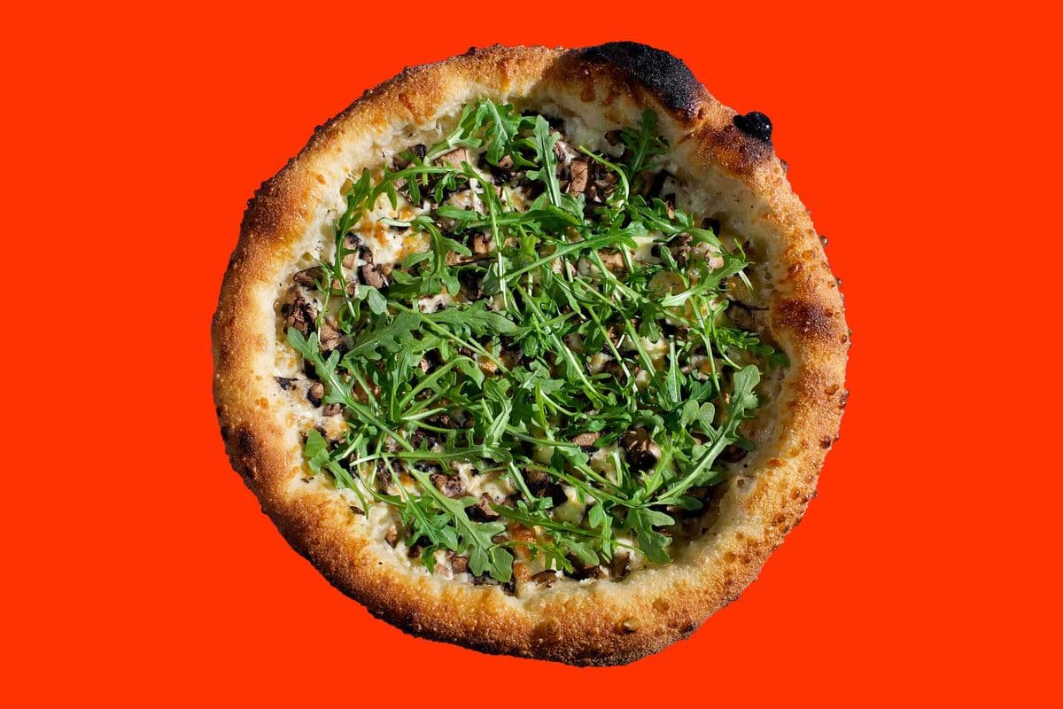 Vegan Mushroom