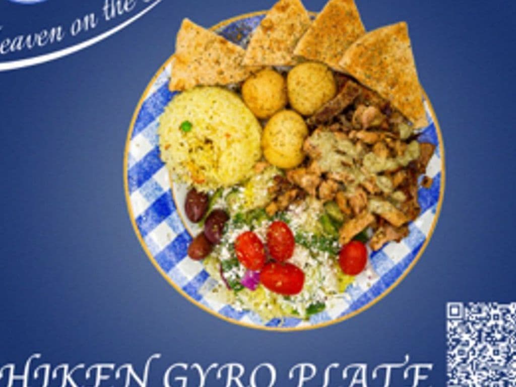 CHK GYRO PLATE