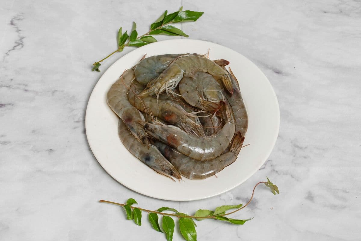 Shrimp (1lb)
