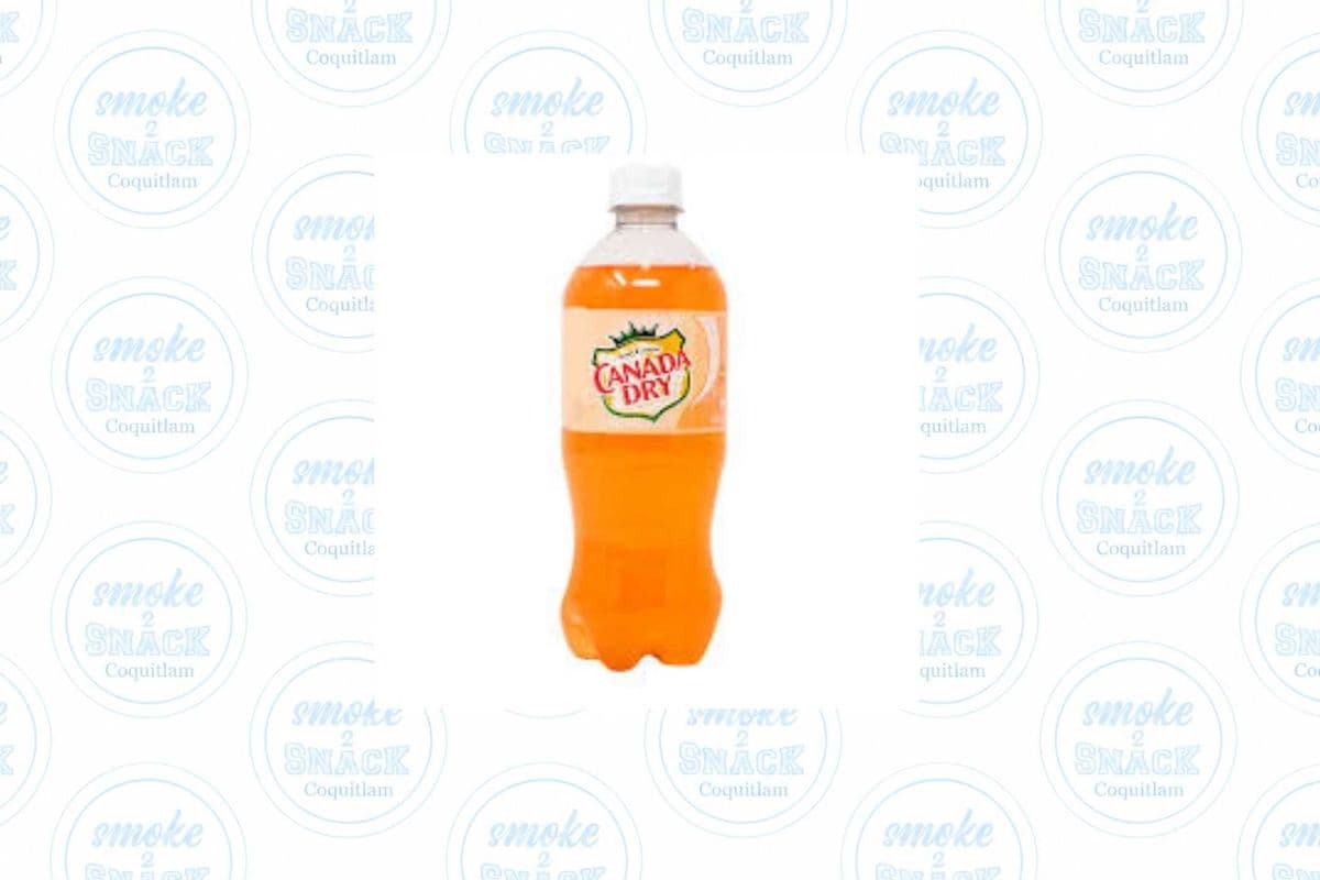 Canada Dry Peach (591ml)