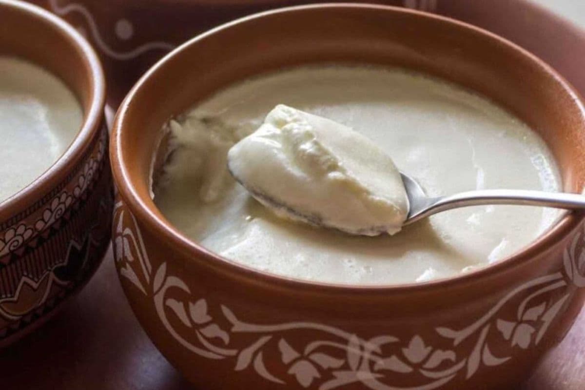 Yogurt