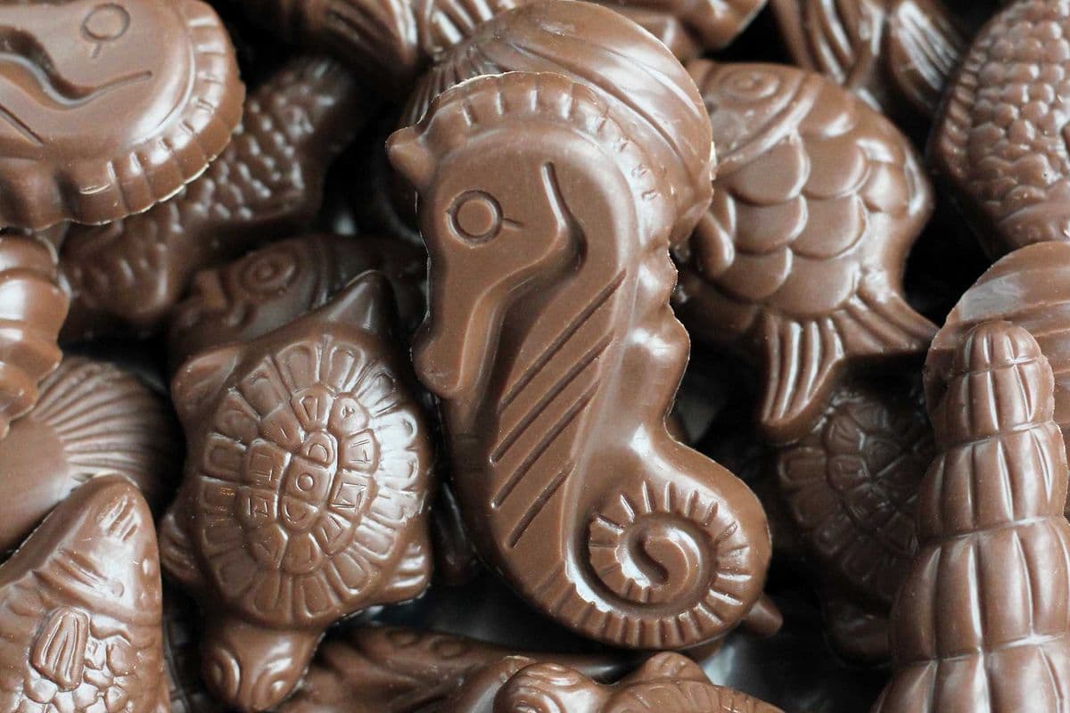 Milk Chocolate Sea Beings