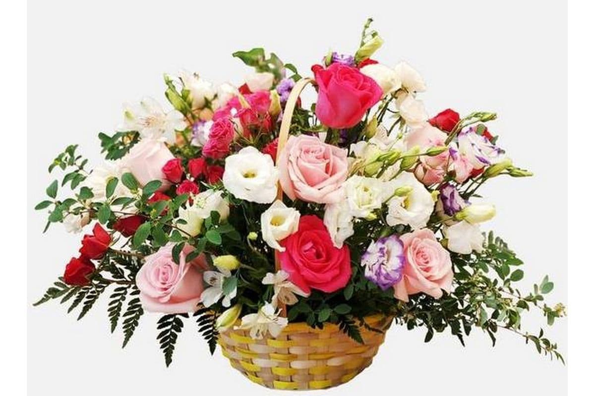 Garden Basket