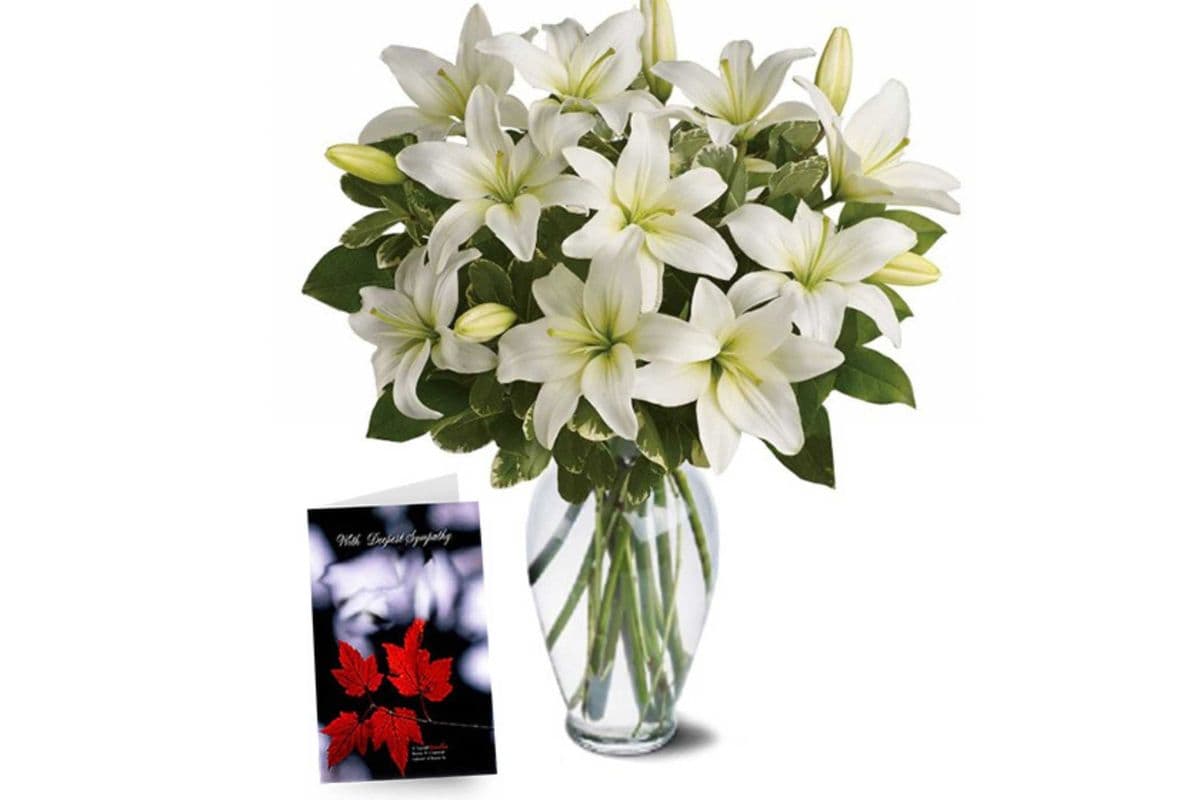 Heavenly Lilies