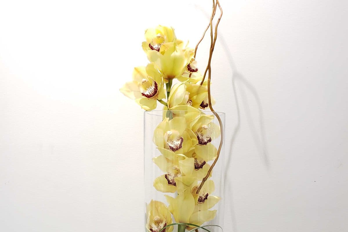 Cymbidium Vase