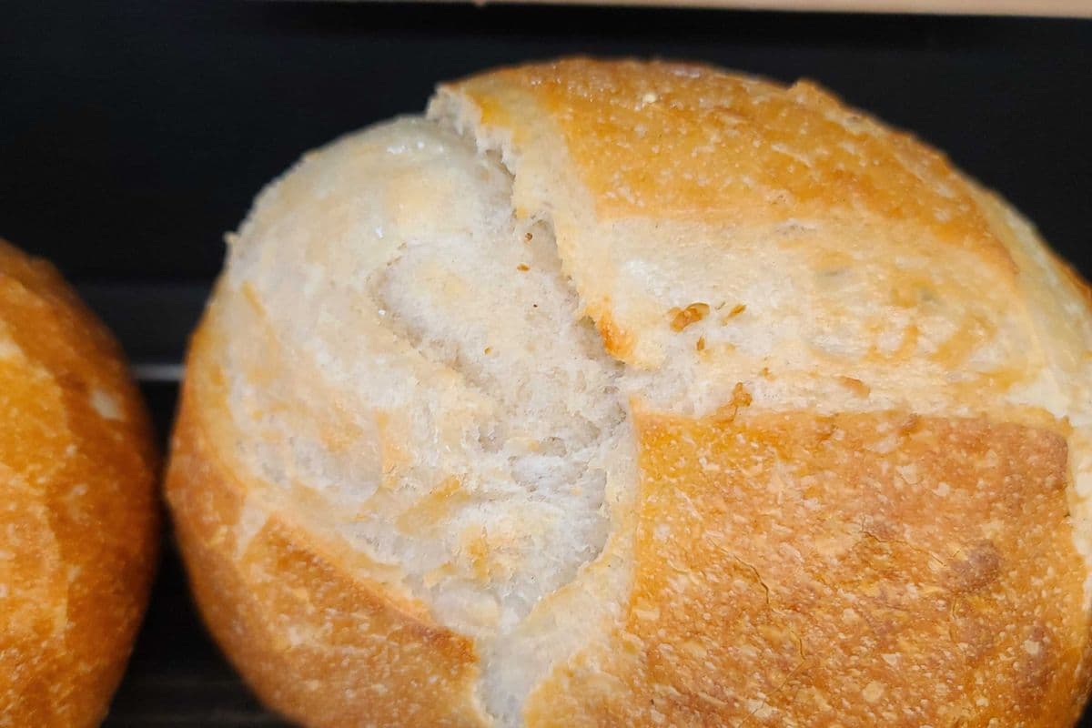 Ciabatta Romeo (520g-540g)