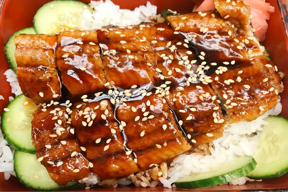 150. Unagi Don