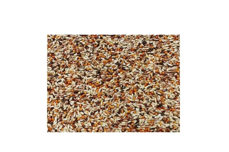 Baker's Finch Seed (10 lb)