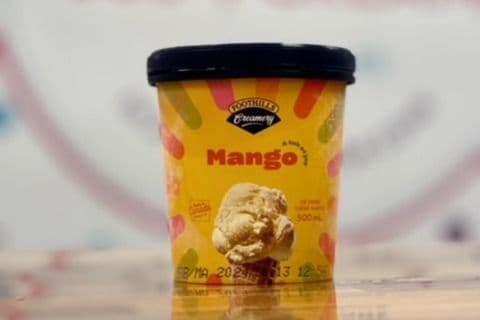 Foothills Pints - Mango (500 ml)