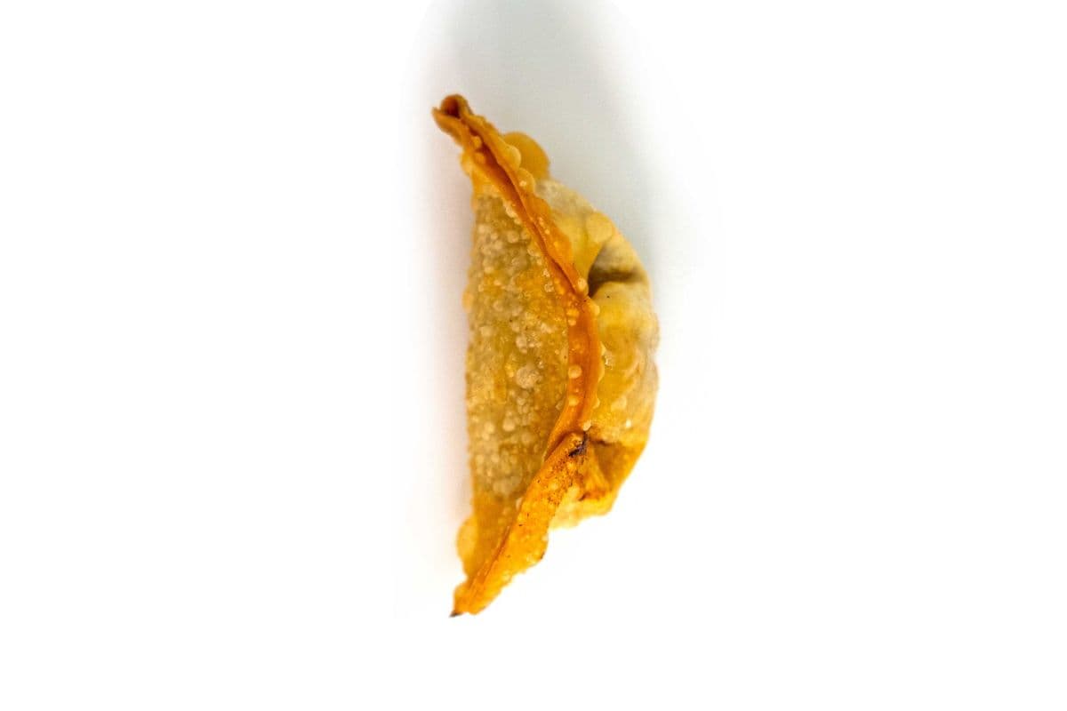 99. Dumplings au poulet (10 mcx) / Dumplings with Chicken (10 pcs)