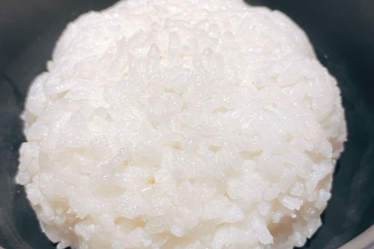 Steamed Rice