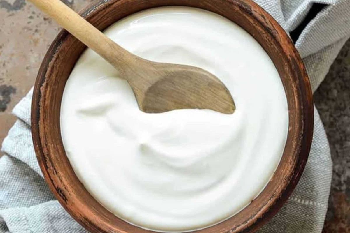 Yaourt / Yogurt