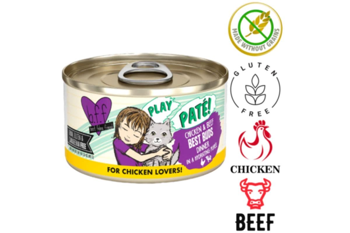 Weruva PLAY Best Buds Canned Cat Food (2.8 oz)
