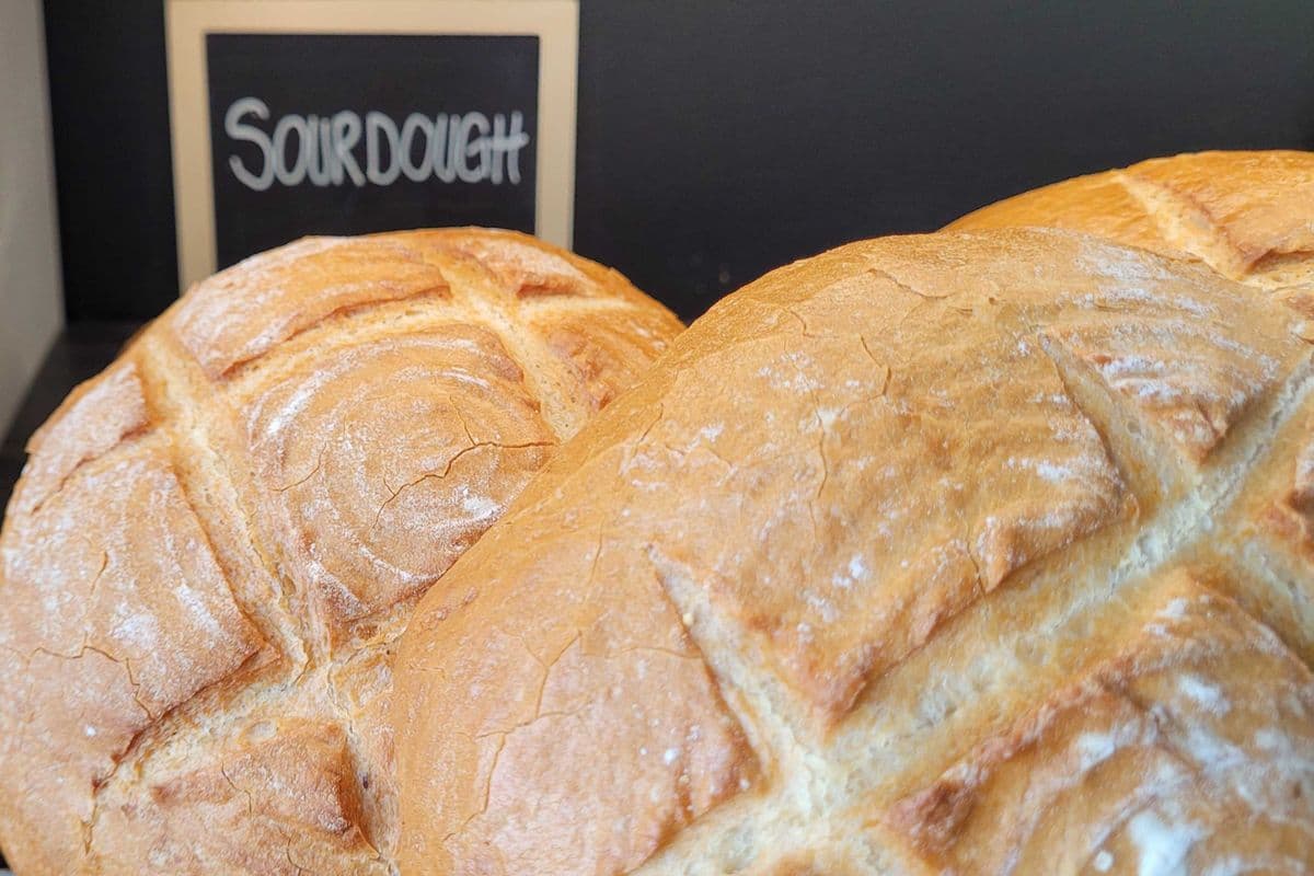 SF Sourdough (520g-540g)