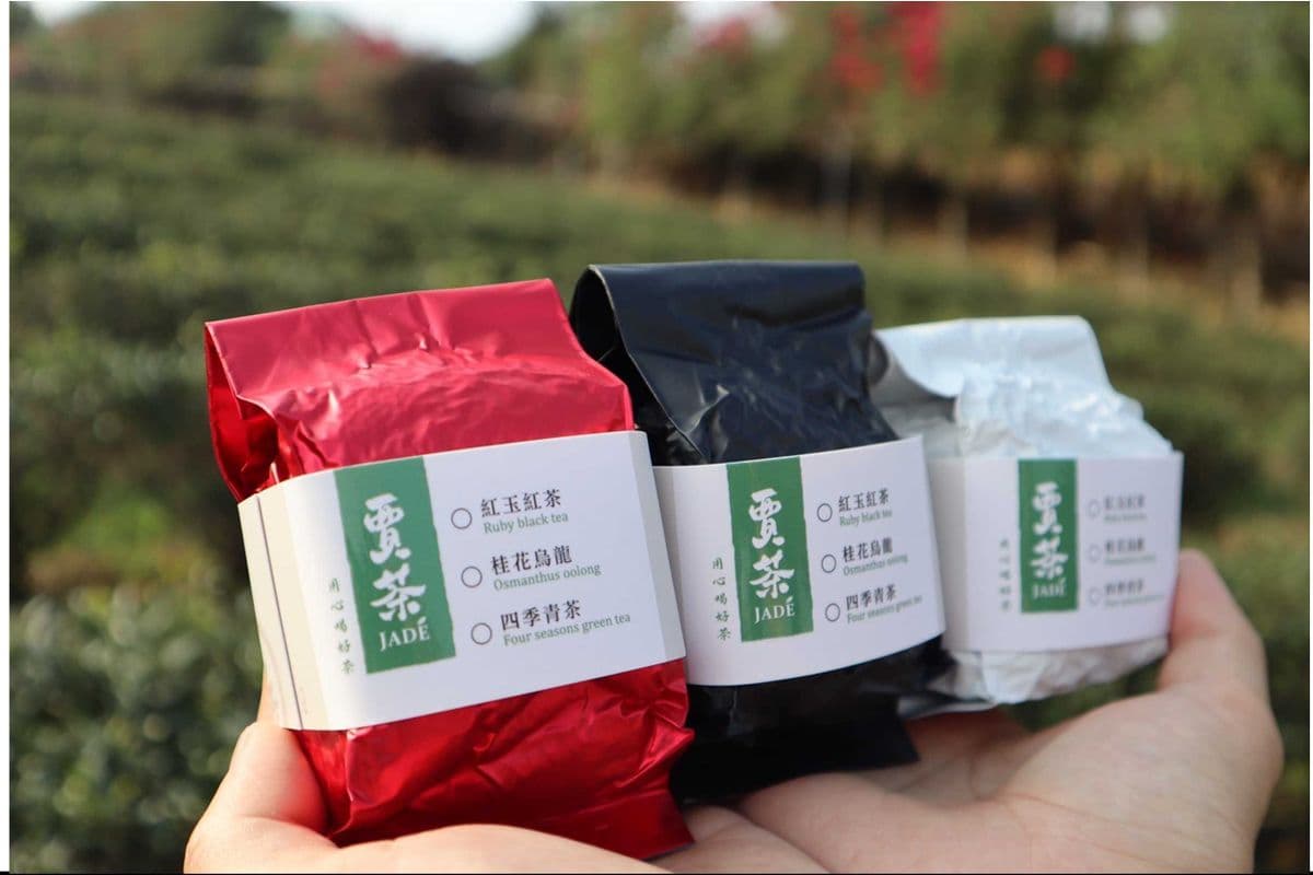 Pack of 3 (3 packs)