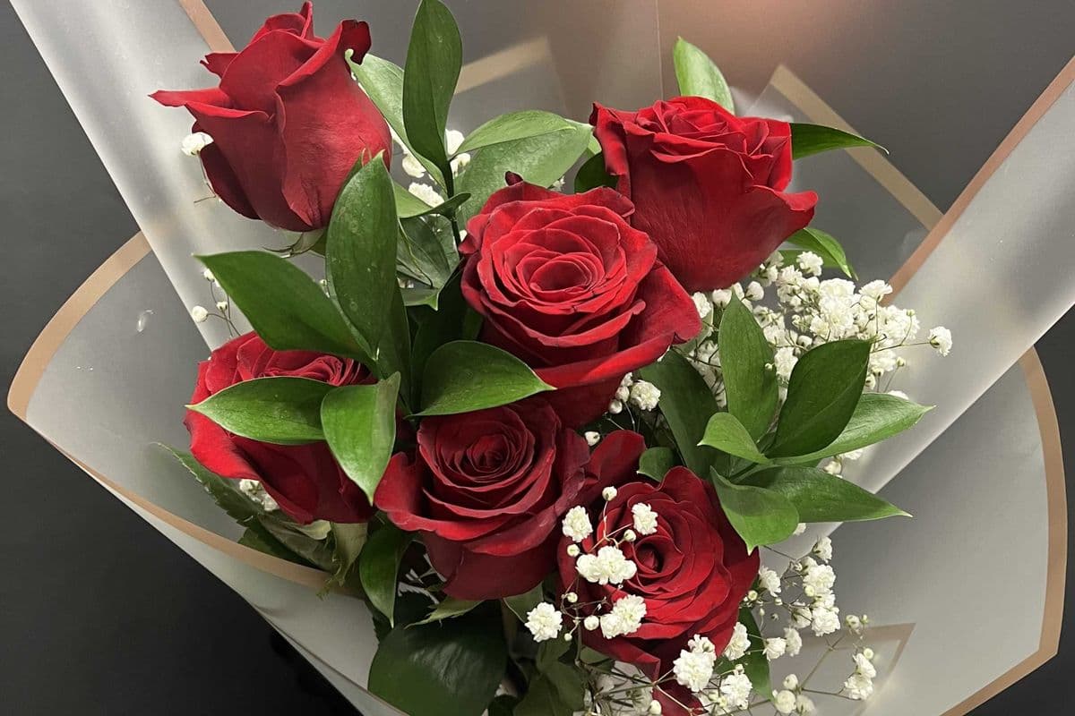 Half a Dozen (6) Premium Long-Stem Roses