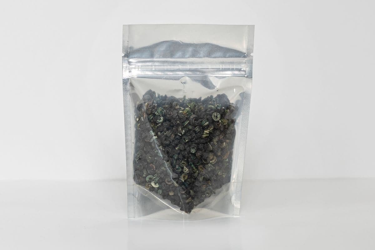 Dried Periwinkle (Small Size)