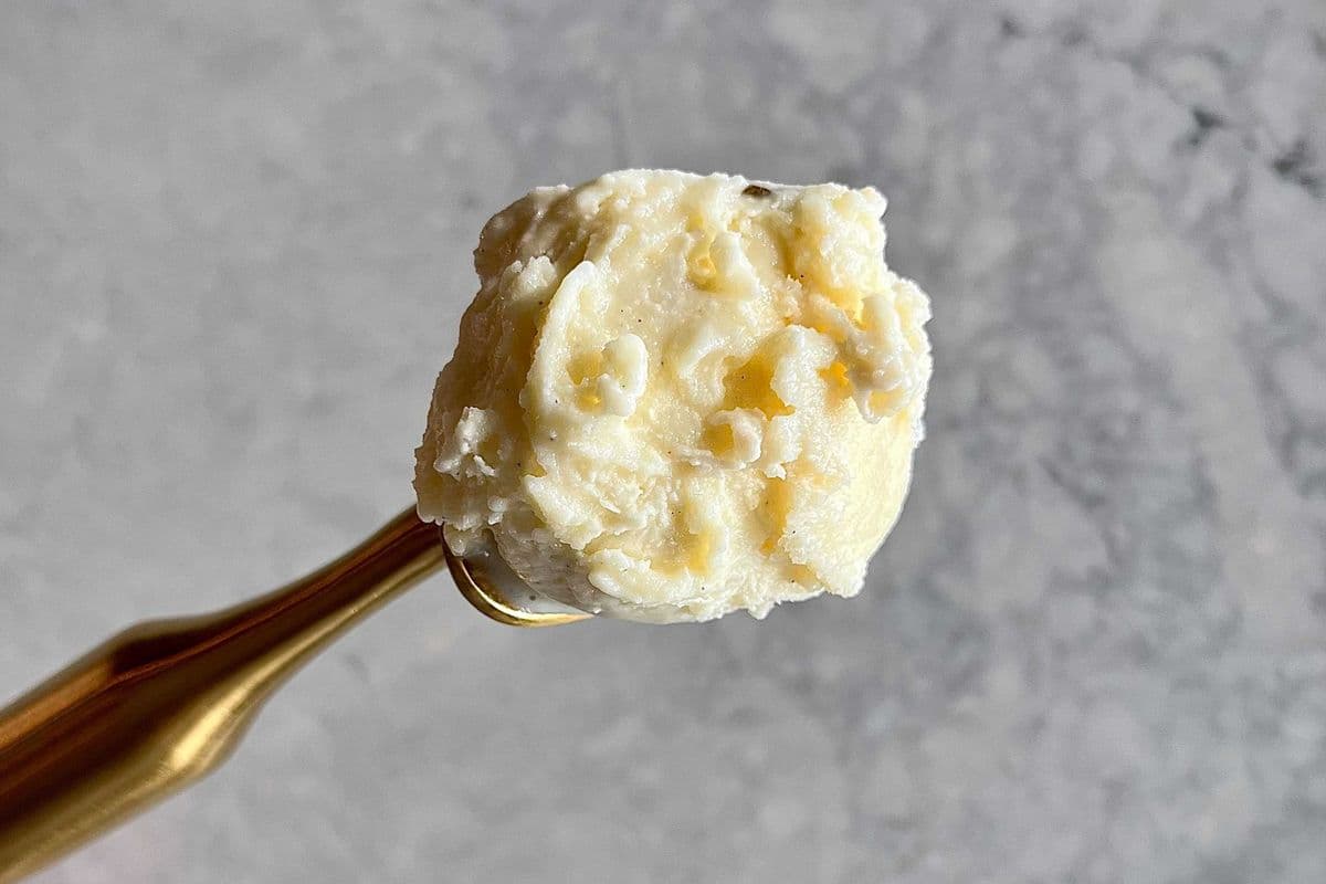 Madagascar Vanilla Gelato (1 Pint)