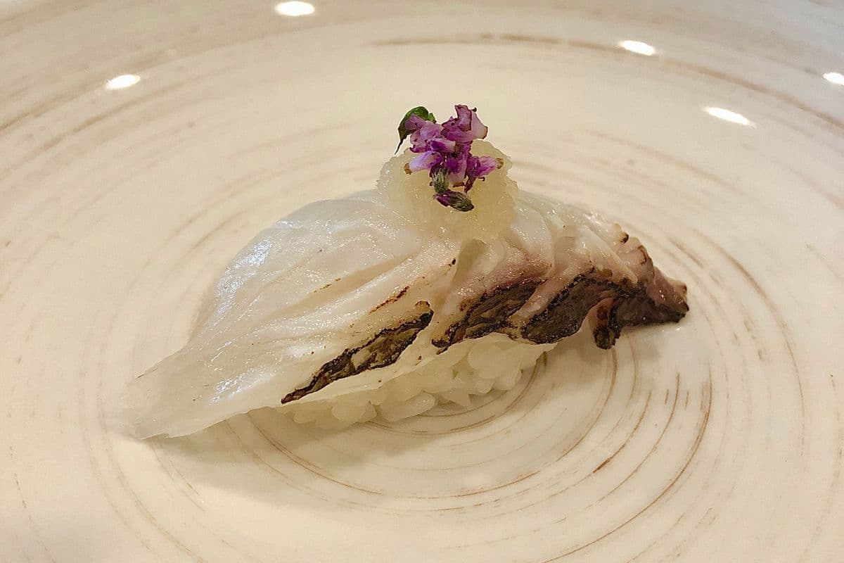 Madai Red Seabream Nigiri