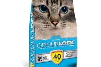 Intersand Odourlock Litière Agglomérant Non Parfumée / Intersand Odourlock Unscented Clumping Litter (12 kg)