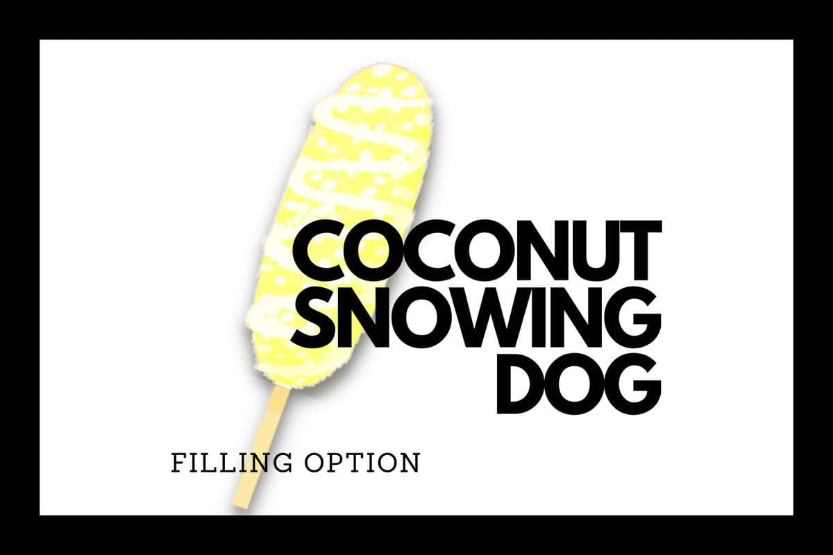 COCONUT SNOWING DOG