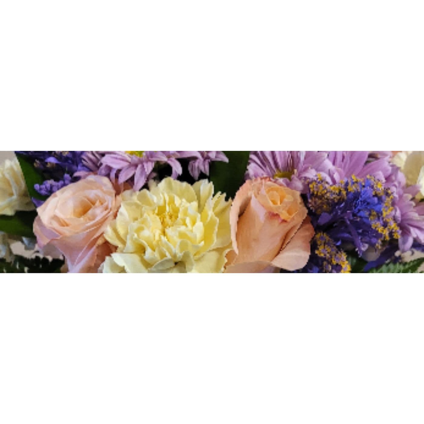 Red Deer Floral
