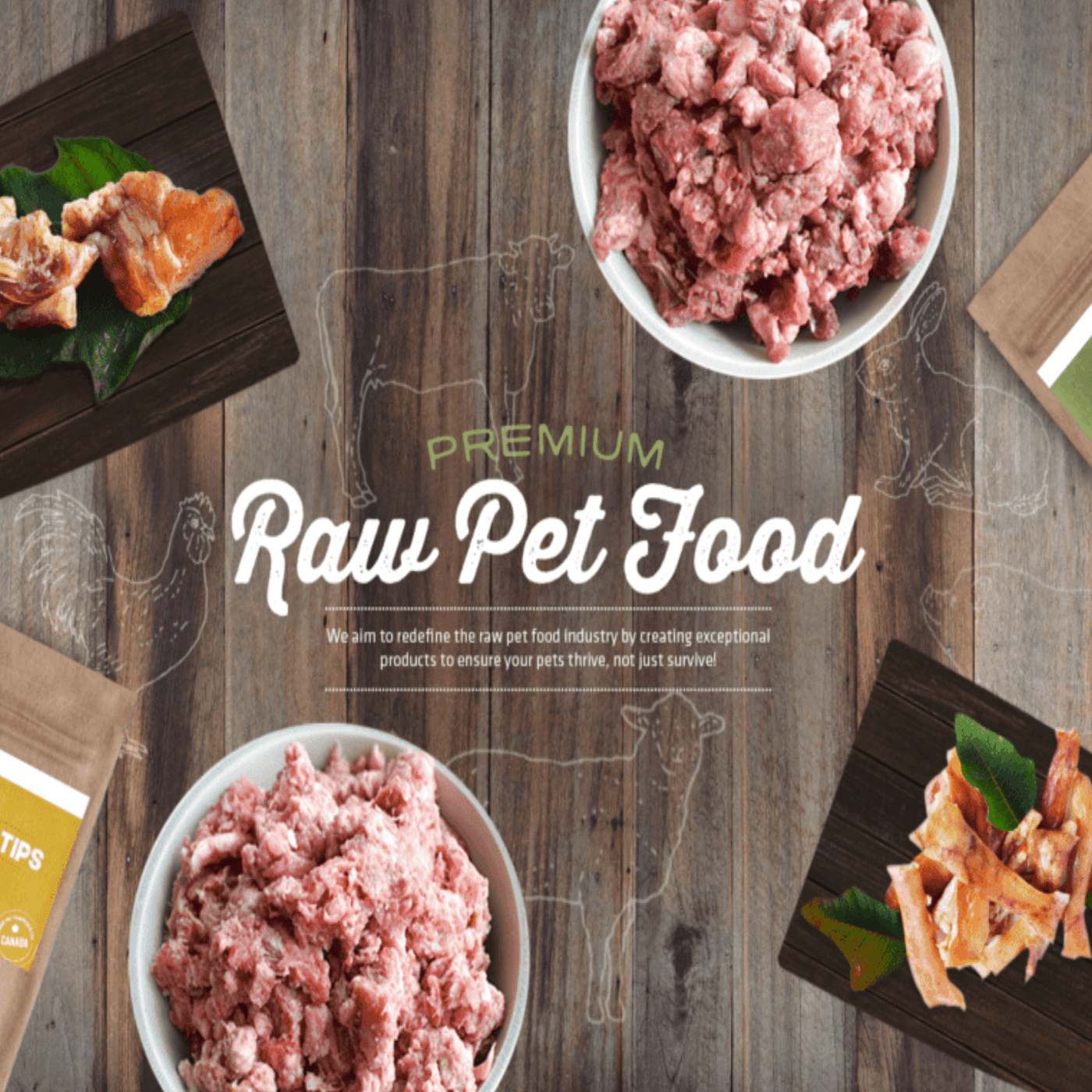 Naturaw Canine Food