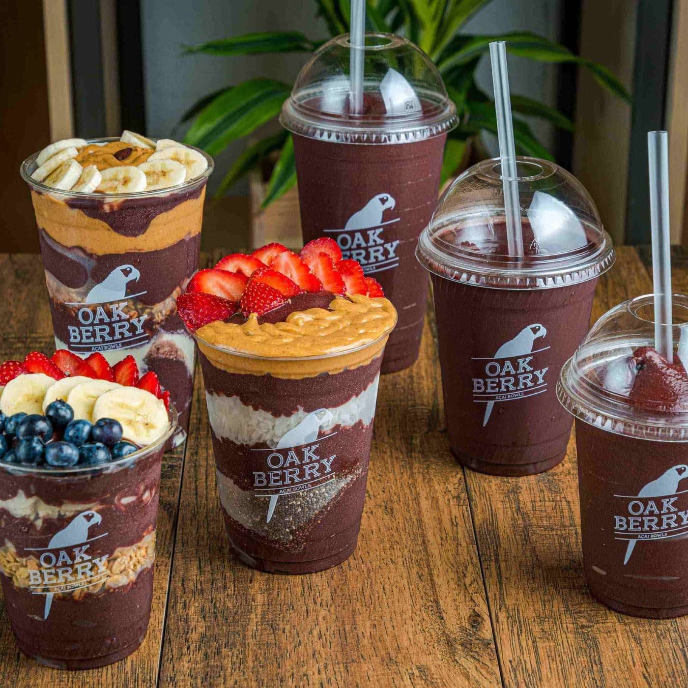 Oakberry Açaí Bowls & Smoothies