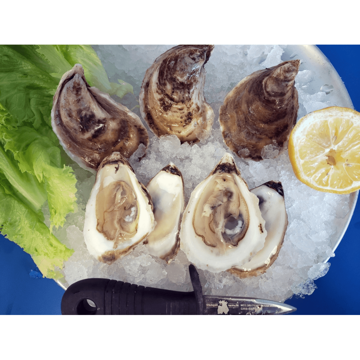 Pacific Fresh Fish Retail