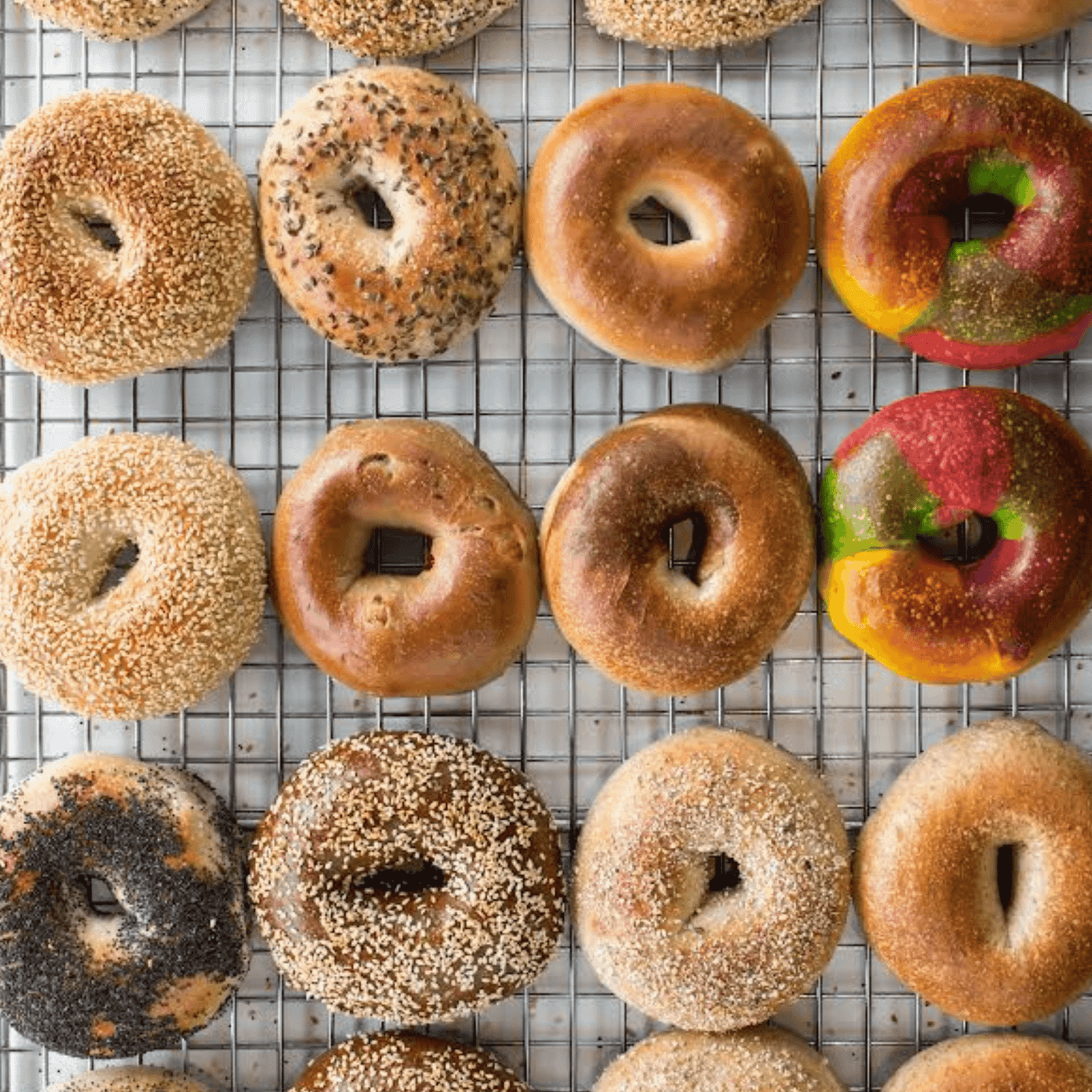 What A Bagel (Forest Hill)