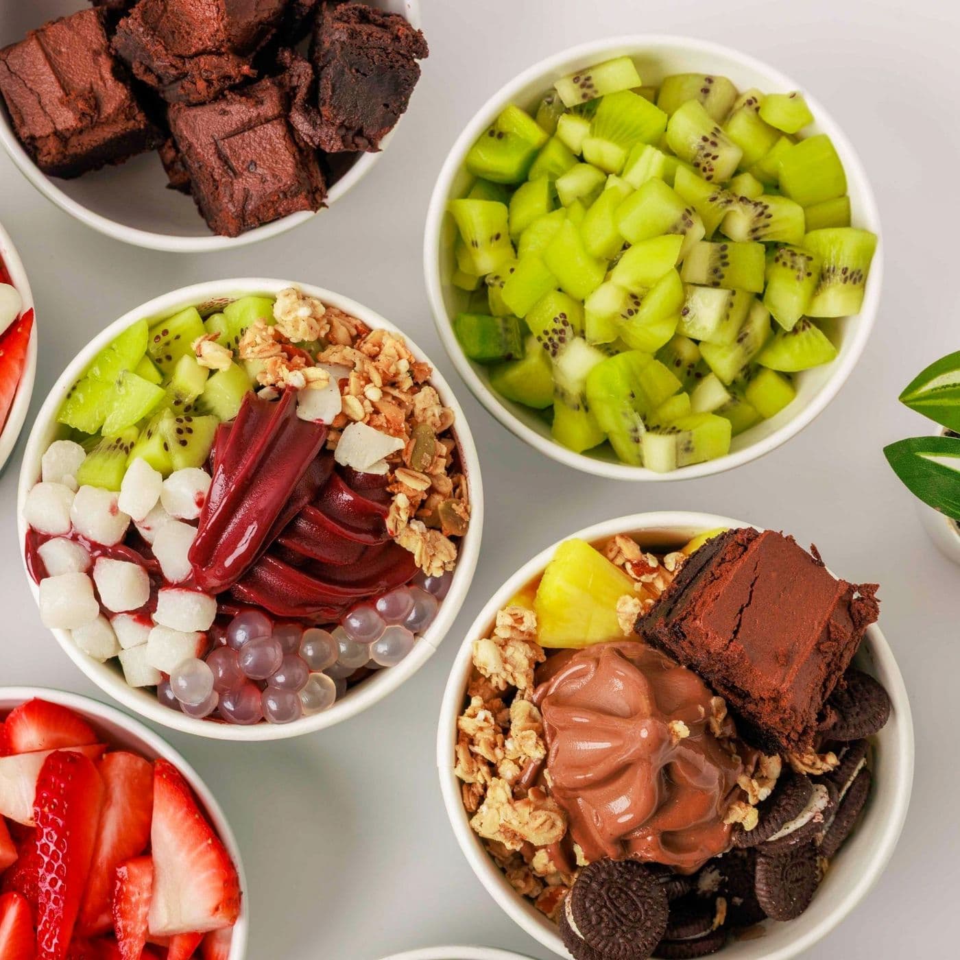 Haydn's Acai & Frozen Yogurt