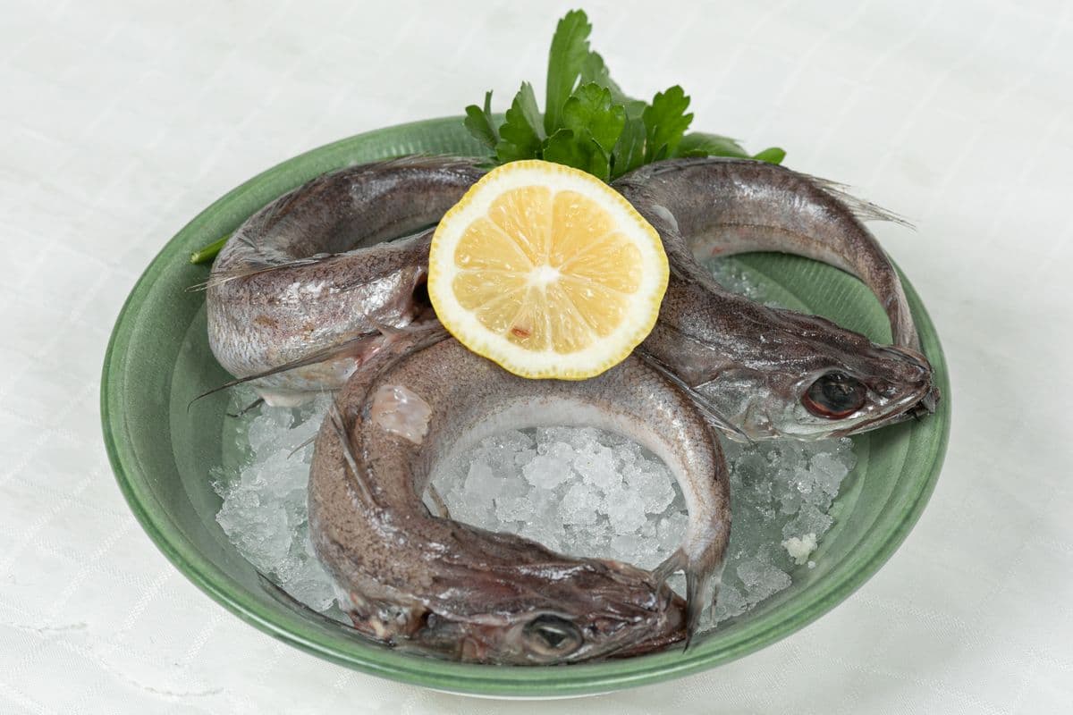 1. Whitting Fish (1 lb)