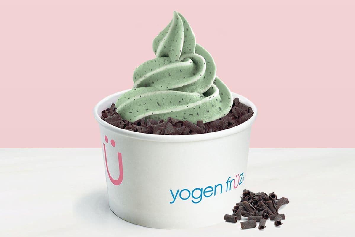 Mint Chocolate Chip Sensation