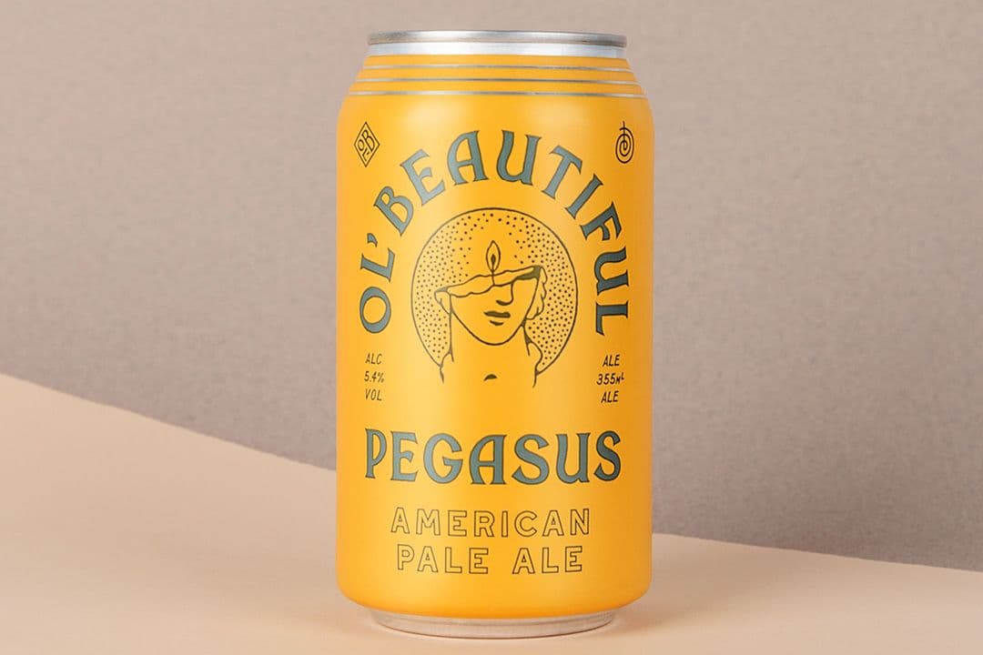 Pegasus - Pale Ale (6 Cans)