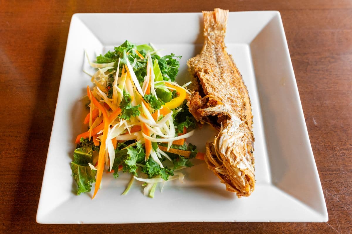 Red Snapper (Large)