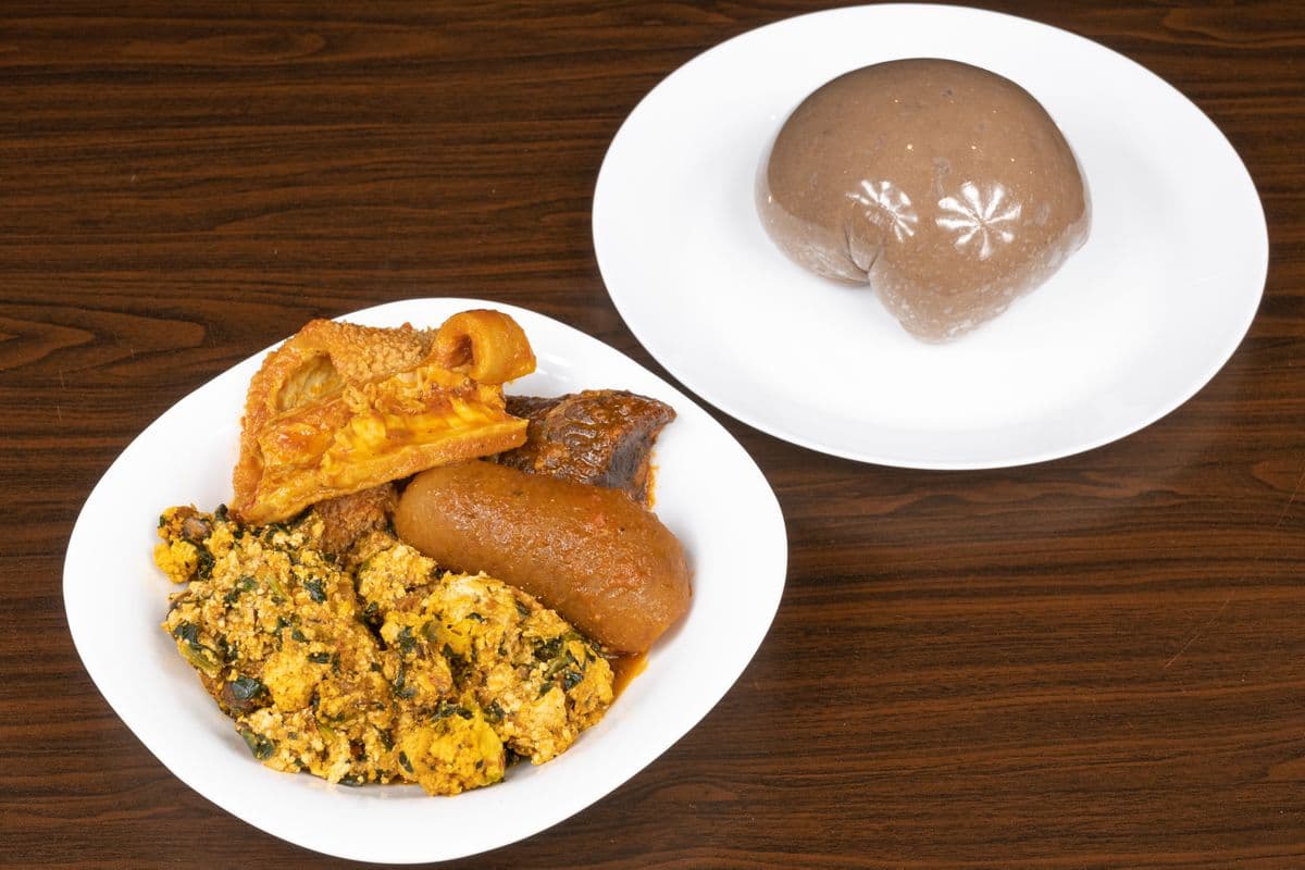Amala with Choice of Protein (Large)