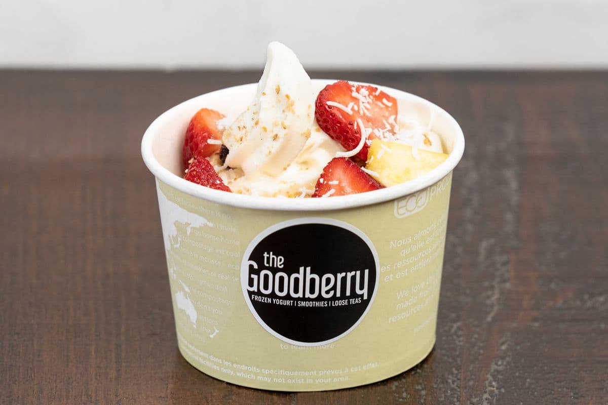 Frozen Yogurt Bowl (10 oz approx)