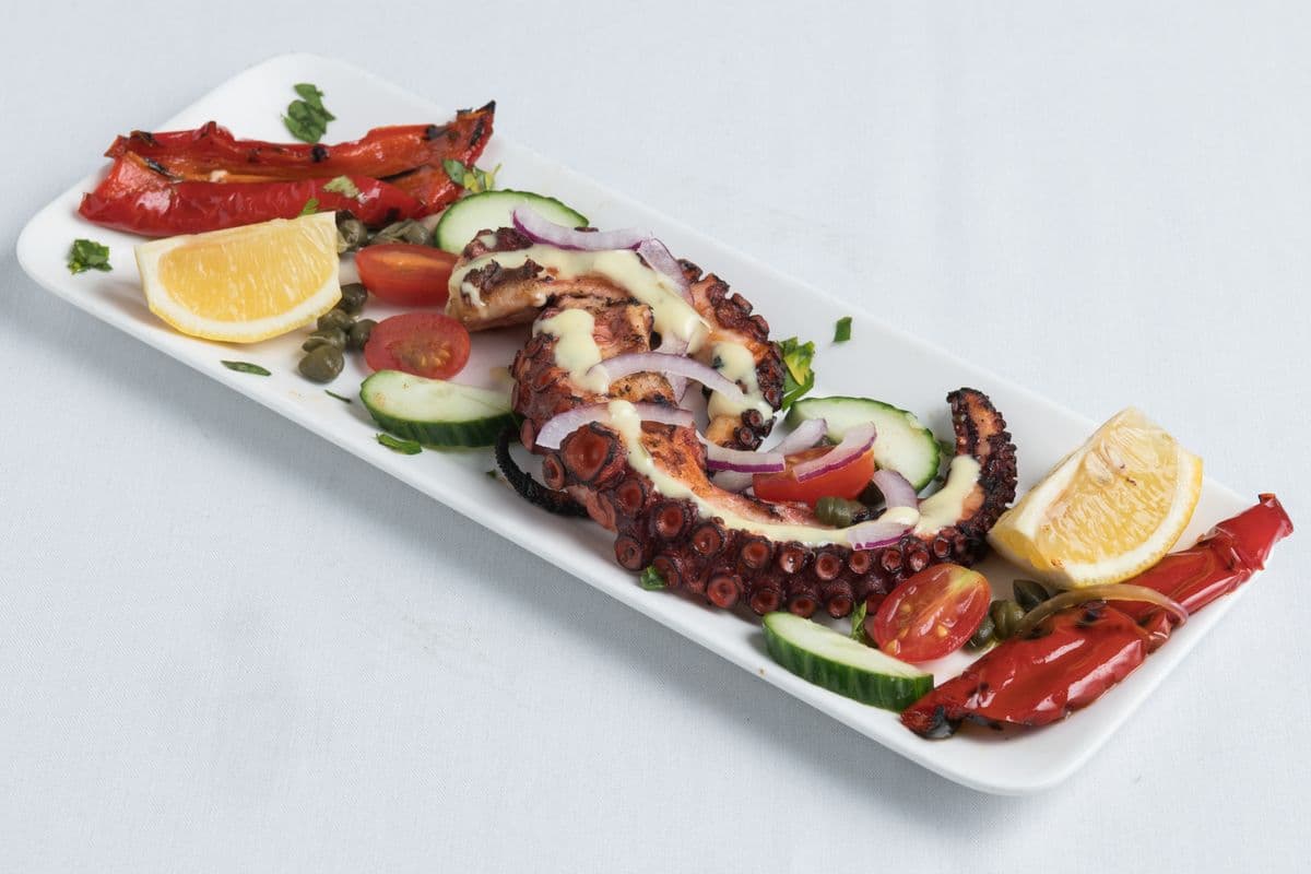 Grilled Octopus